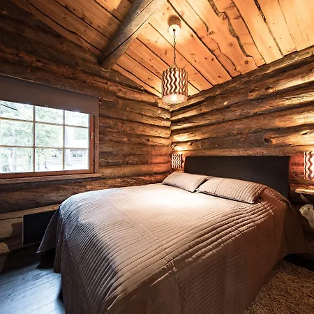 Chalet Unelmakelo Ruka