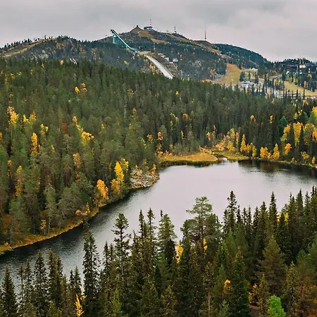Unelmakelo Рука